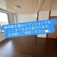 画像238